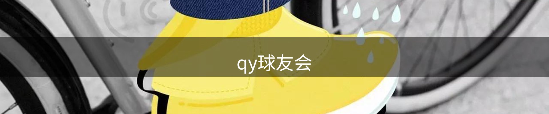qy球友会
